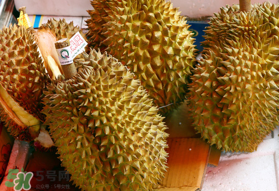 托曼尼榴蓮怎么才是熟？托曼尼榴蓮怎么看生熟？