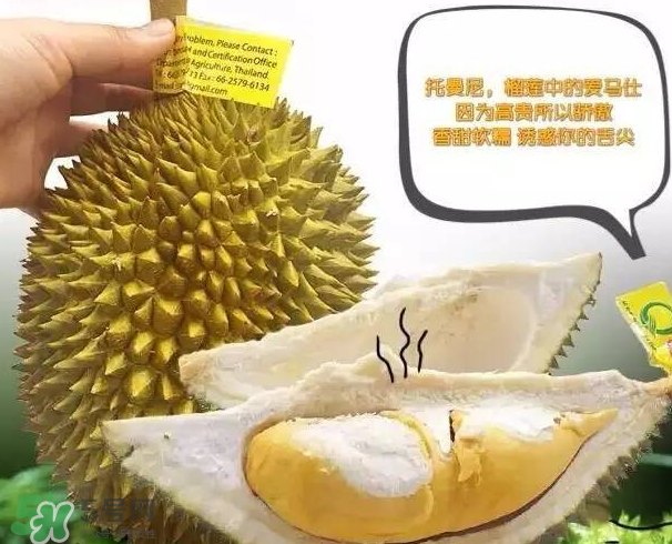 托曼尼榴蓮又叫什么？托曼尼榴蓮簡(jiǎn)介