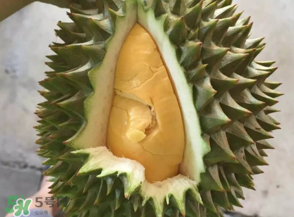 托曼尼榴蓮又叫什么？托曼尼榴蓮簡(jiǎn)介