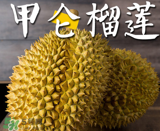 泰國甲倫榴蓮好吃嗎？甲倫榴蓮的特點