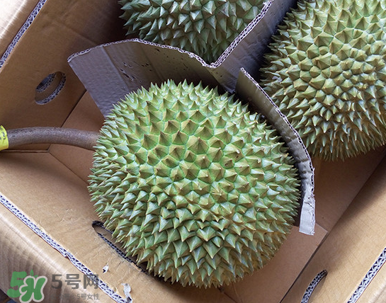干堯榴蓮怎么樣算熟了？干堯榴蓮怎么挑選？