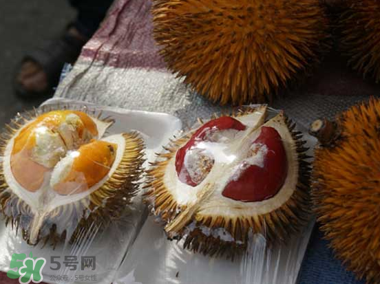 榴蓮核可以煲湯嗎？榴蓮核可以煲雞湯嗎？