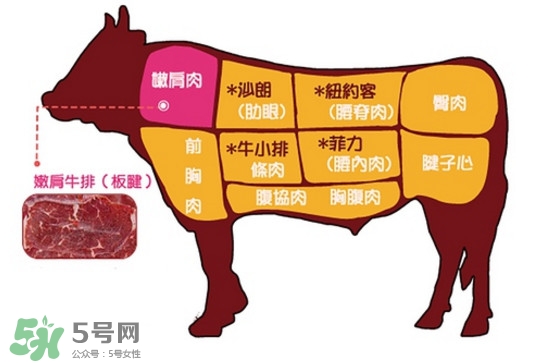 牛排是牛的哪個部位？牛排是牛身上哪塊肉？
