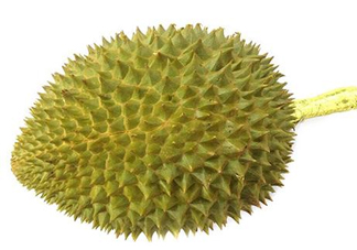 托曼尼榴蓮多少錢？托曼尼榴蓮是哪里的？