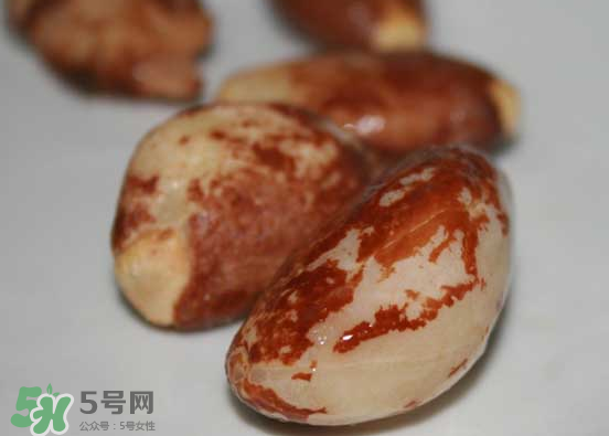 榴蓮核可以煲湯嗎？榴蓮核可以煲雞湯嗎？