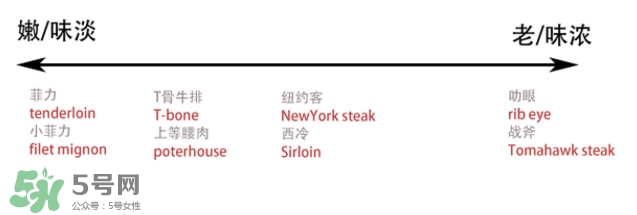 牛排是牛的哪個部位？牛排是牛身上哪塊肉？