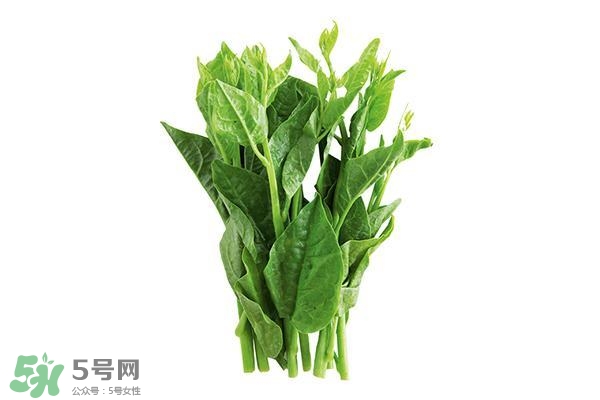 龍須菜有幾種？龍須菜多少錢一斤？