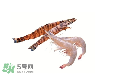 如何區(qū)分基圍蝦和竹節(jié)蝦？竹節(jié)蝦和基圍蝦的區(qū)別