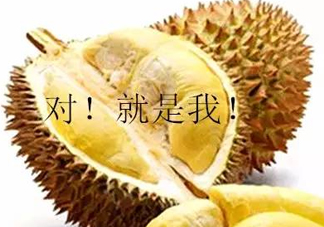 多大的小孩可以開始吃榴蓮？寶寶多大可以吃榴蓮？