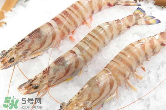 竹節(jié)蝦是海里的嗎？竹節(jié)蝦是海蝦還是河蝦
