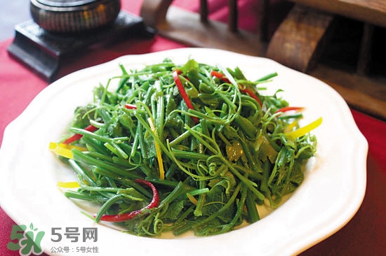 龍須菜是什么菜？龍須菜怎么吃？