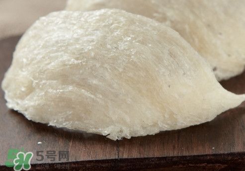 燕窩是燕子的口水嗎？燕窩是怎么形成的