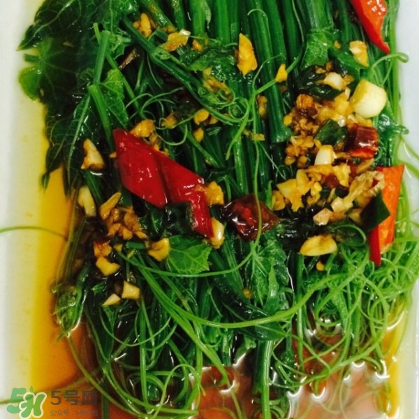 龍須菜怎么清洗？龍須菜怎么處理？