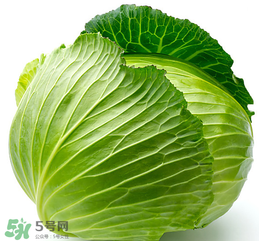 8月份吃什么蔬菜？八月份適合吃什么蔬菜？