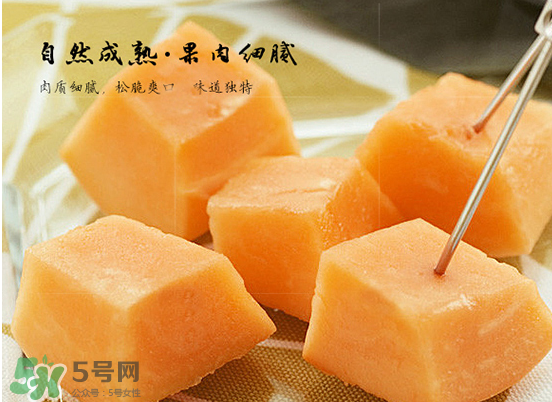 西州蜜瓜什么季節(jié)熟？西州蜜瓜幾月份成熟？