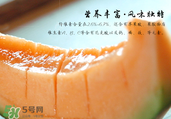 西州蜜瓜什么季節(jié)熟？西州蜜瓜幾月份成熟？