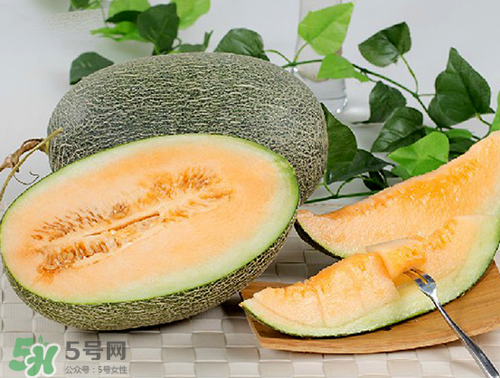西州蜜瓜什么季節(jié)熟？西州蜜瓜幾月份成熟？