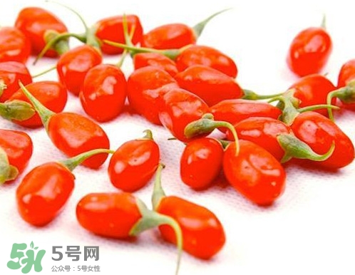 枸杞鮮果能吃嗎？鮮枸杞好還是干枸杞好