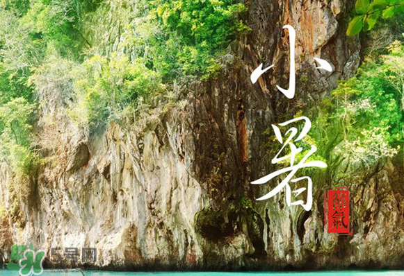 小暑是入伏嗎？小暑是不是入伏？