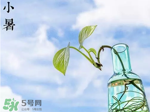 小暑是頭伏嗎？小暑是初伏嗎？