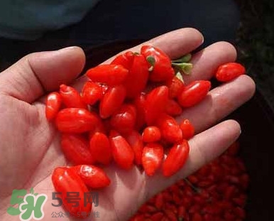枸杞鮮果屬水果嗎？枸杞鮮果什么味道
