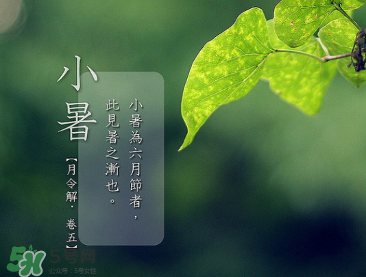 2017年小暑會下雨嗎？小暑這一天下雨好嗎？