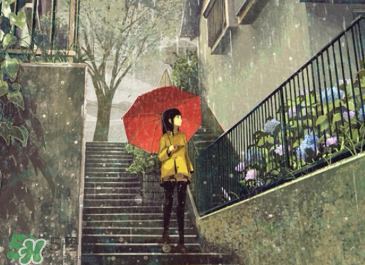 2017年小暑會下雨嗎？小暑這一天下雨好嗎？