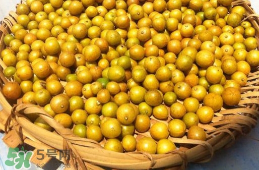 黃皮果是小金橘嗎？黃皮果和小金橘的區(qū)別