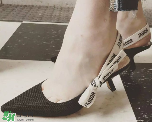 dior貓跟鞋多少錢？dior貓跟鞋價格