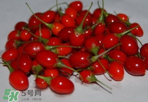 枸杞鮮果怎么吃？吃枸杞鮮果有什么好處