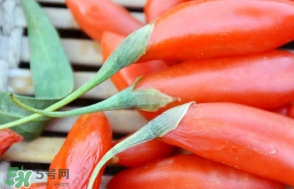 青海和寧夏枸杞哪個好？青海枸杞和寧夏枸杞的區(qū)別