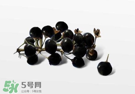 新鮮枸杞多少錢(qián)一斤？2017枸杞鮮果價(jià)格