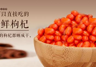 枸杞鮮果能吃嗎？鮮枸杞好還是干枸杞好