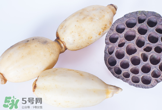 蓮蓬和蓮藕一樣嗎？蓮蓬和蓮藕的區(qū)別