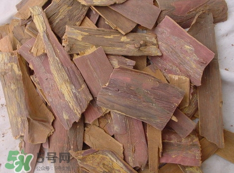 紅豆杉樹(shù)皮多少錢(qián)一斤？2017紅豆杉市場(chǎng)價(jià)