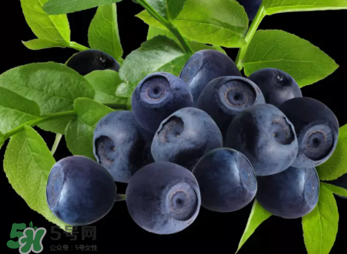 新鮮藍(lán)莓可以直接吃嗎？新鮮藍(lán)莓怎么吃才好吃？