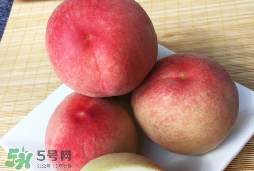 脆桃是什么品種？脆桃什么時候上市