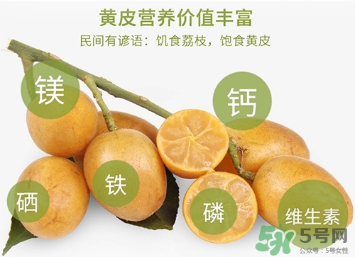 孕婦可以吃黃皮嗎？孕婦吃黃皮有什么好處
