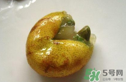 黃皮果核能治療什么??？黃皮核的功效與作用