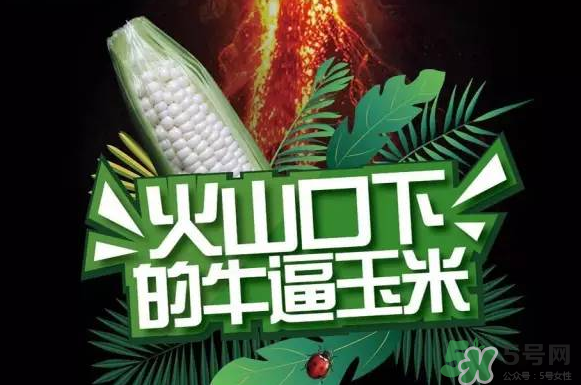 微玉冰糖玉米小孩可以吃嗎？微玉冰糖玉米營養(yǎng)豐富嗎？