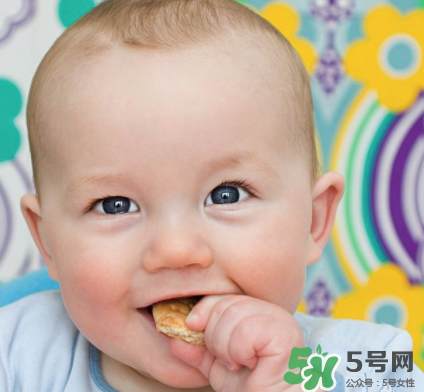 磨牙餅干吃不完怎么辦？磨牙餅干吃到多大？