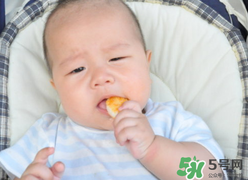 磨牙餅干吃不完怎么辦？磨牙餅干吃到多大？