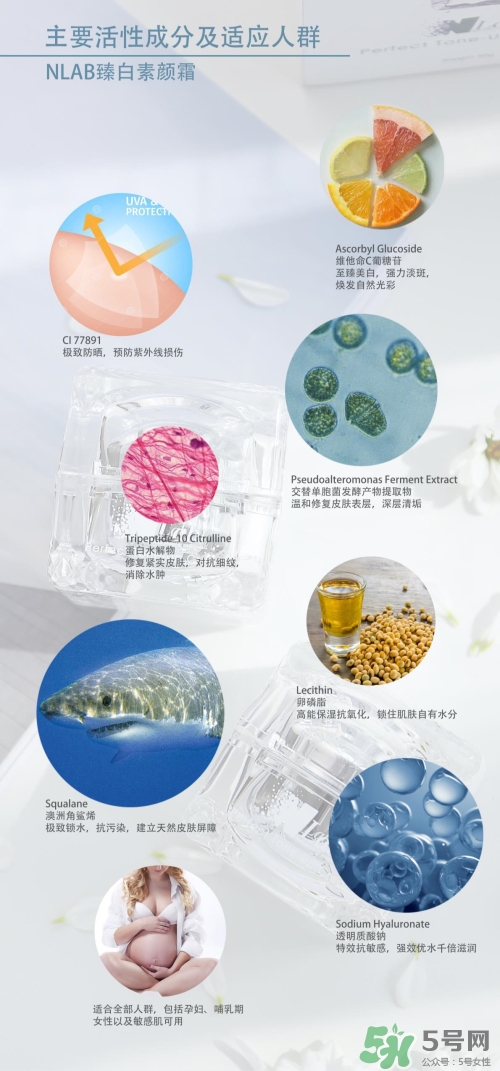 澳洲nlab素顏霜怎么用？nlab素顏霜孕婦可以用嗎