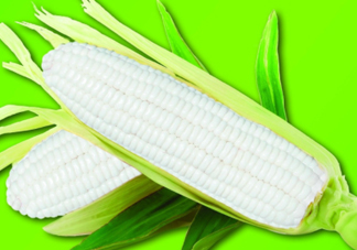 白玉米煮后變黃能吃嗎？白玉米為什么變黃了？