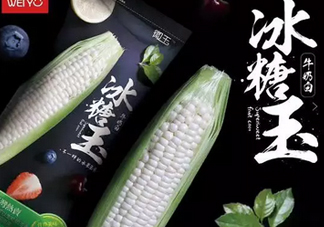 冰糖玉米?是轉(zhuǎn)基因嗎？冰糖玉米多少錢一斤？