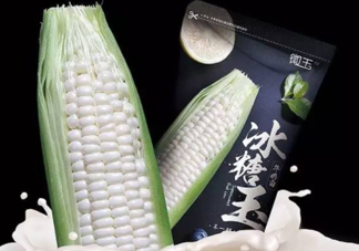 微玉冰糖玉米可以生吃嗎？微玉冰糖玉米安全嗎？