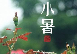 小暑種什么菜？小暑為什么要種牽牛花？