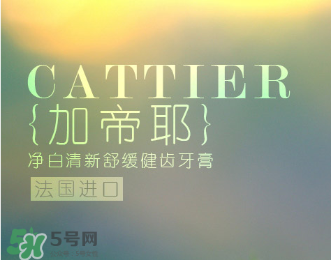 cattier加帝耶是什么牌子？法國cattier什么檔次？