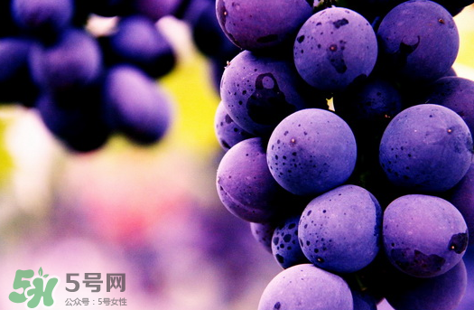 夏黑葡萄多少錢一斤？夏黑葡萄怎么挑選？