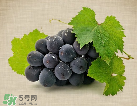 夏黑葡萄多少錢一斤？夏黑葡萄怎么挑選？
